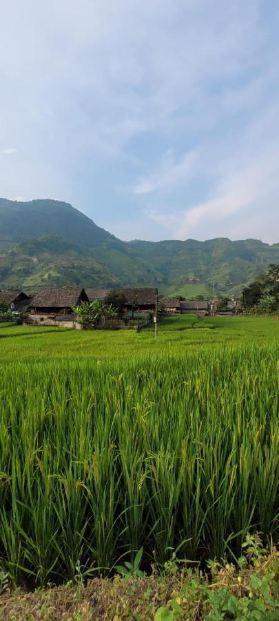 Organic Farm Homestay ซาปา ภายนอก รูปภาพ