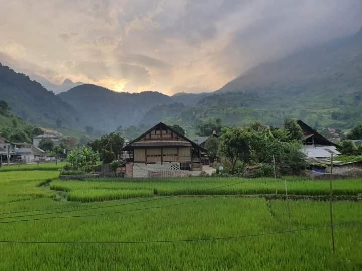 Organic Farm Homestay ซาปา ภายนอก รูปภาพ