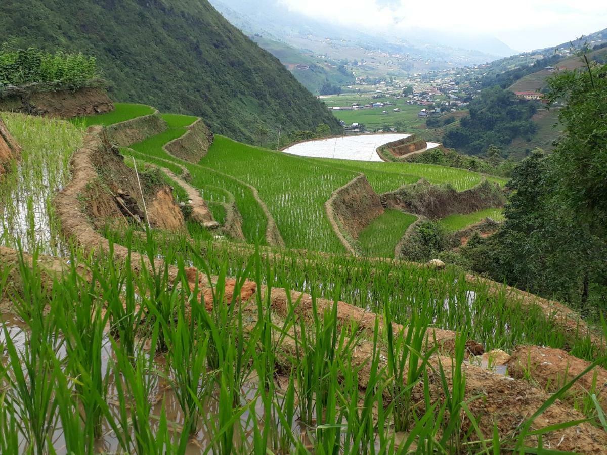Organic Farm Homestay ซาปา ภายนอก รูปภาพ