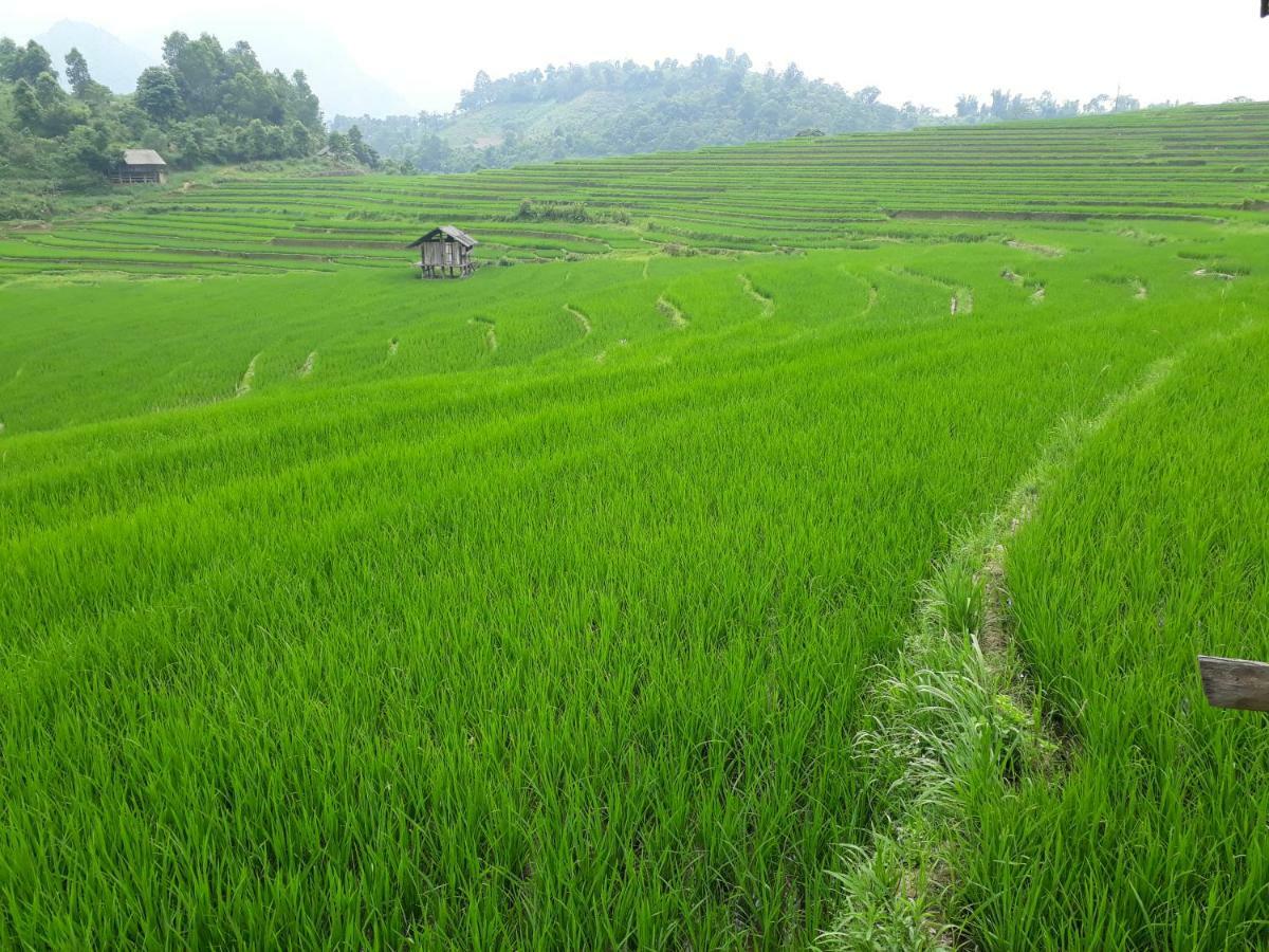Organic Farm Homestay ซาปา ภายนอก รูปภาพ